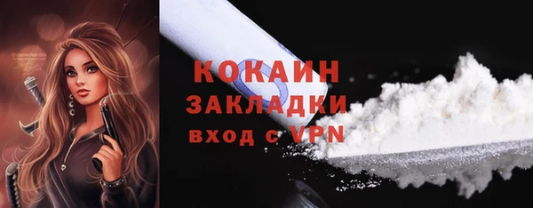 индика Осинники
