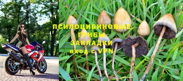 дживик Алексин