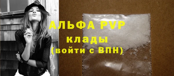 индика Осинники