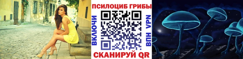 Галлюциногенные грибы мицелий  как найти   Лысково 